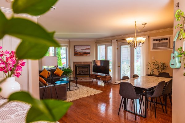 DSC_4613-已增强-降噪